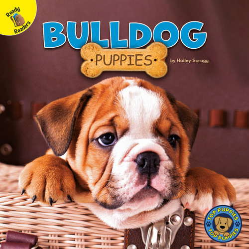Bulldog Puppies by Hailey Scragg, 9781731628619