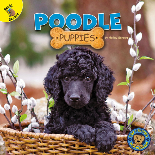 Poodle Puppies - 9781731628657 by Hailey Scragg, 9781731628657