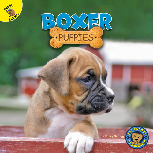 Boxer Puppies by Hailey Scragg, 9781731628725