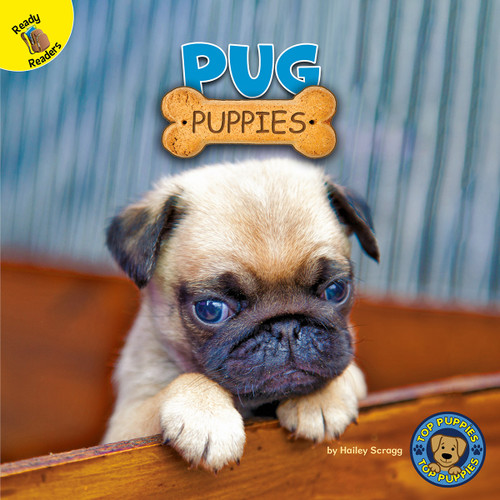 Pug Puppies by Hailey Scragg, 9781731628756