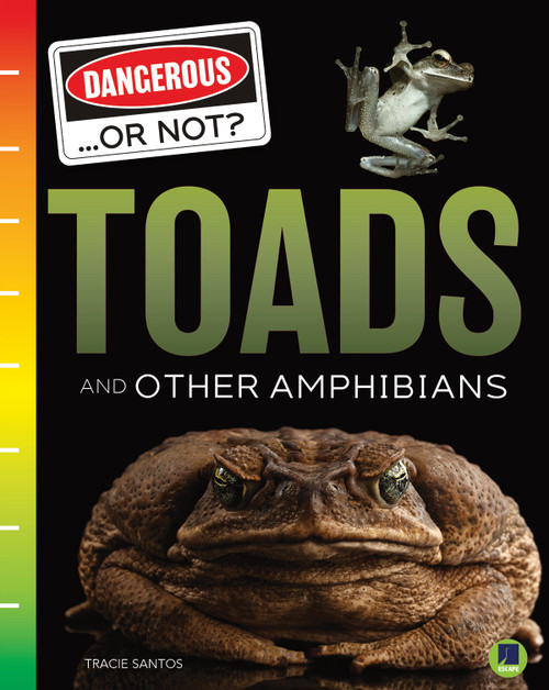 Toads and Other Amphibians by Tracie Santos, 9781731638243