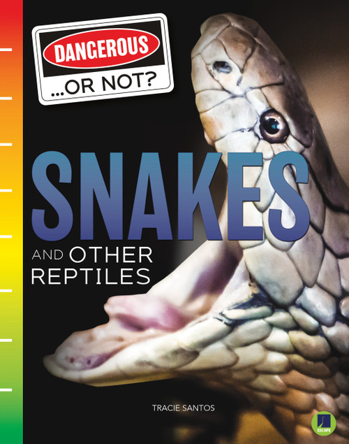 Snakes and Other Reptiles - 9781731638977 by Tracie Santos, 9781731638977