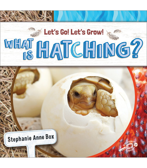 What Is Hatching? by Stephanie Anne Box, 9781731651761