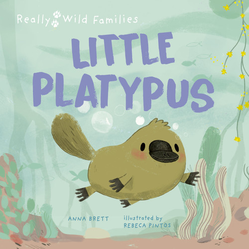 Little Platypus (A Day in the Life of a Platypus Puggle) by Rebeca Pintos, Anna Brett, 9780711274181