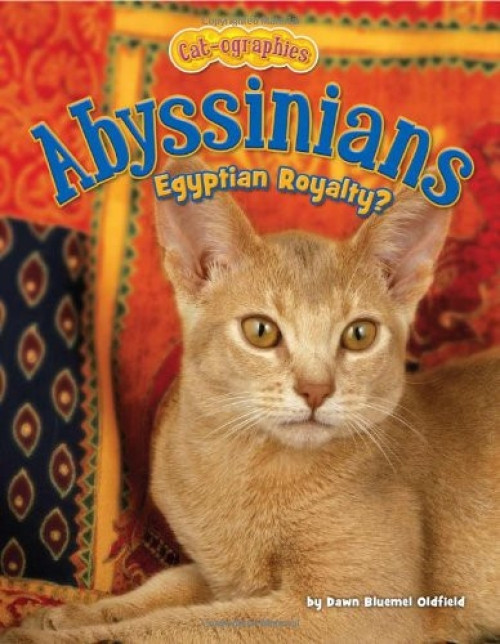 Abyssinians (Egyptian Royalty?) by Dawn Bluemel Oldfield, 9781617721458