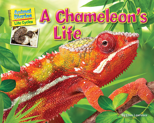 A Chameleon's Life - 9781617725968 by Ellen Lawrence, 9781617725968
