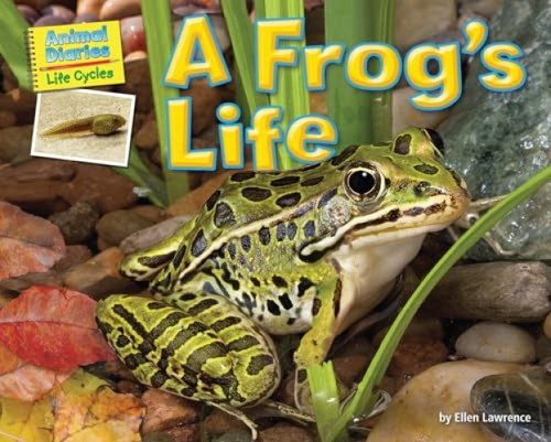 A Frog's Life - 9781944998400 by Ellen Lawrence