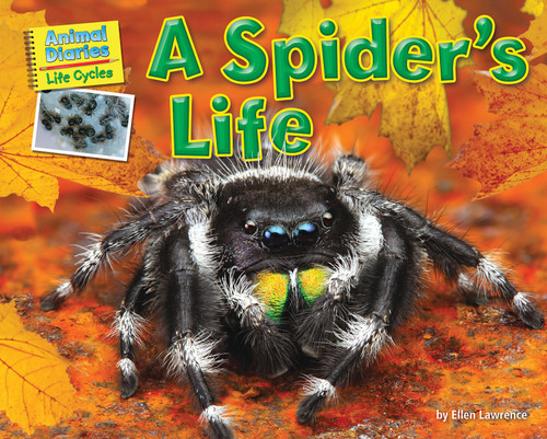 A Spider's Life by Ellen Lawrence, 9781642807301