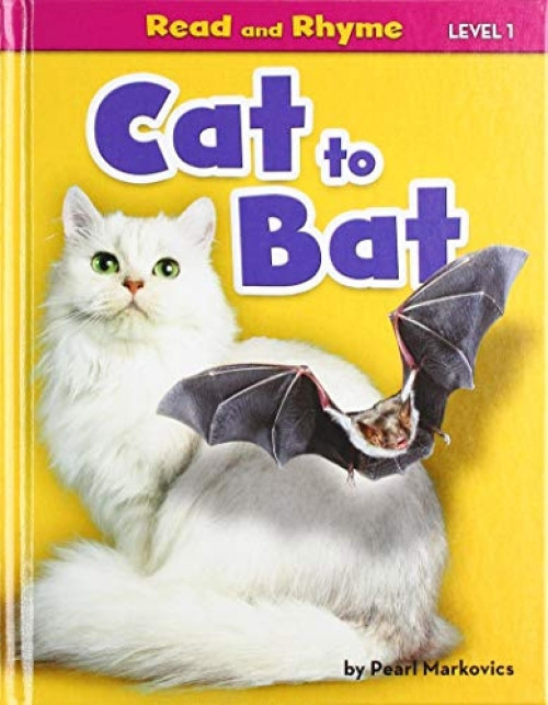 Cat to Bat - 9781642805383 by Pearl Markovics