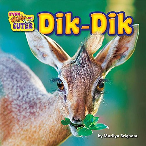 Dik-Dik by Marilyn Brigham, 9781684024667