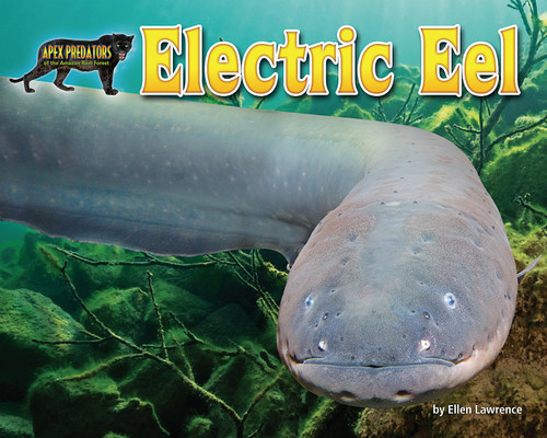 Electric Eel by Ellen Lawrence, 9781684020362