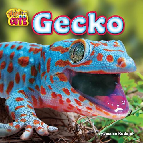Gecko - 9781627248495 by Jessica Rudolph, 9781627248495