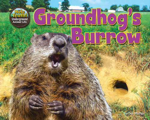 Groundhog's Burrow by Dee Phillips, 9781642800883