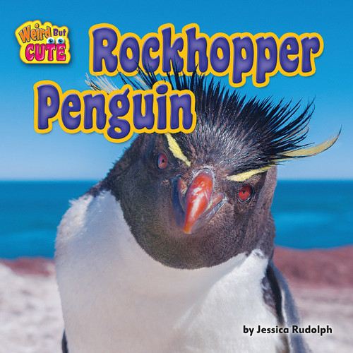Rockhopper Penguin by Jessica Rudolph, 9781627248488