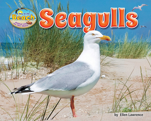 Seagulls by Ellen Lawrence, 9781684024476