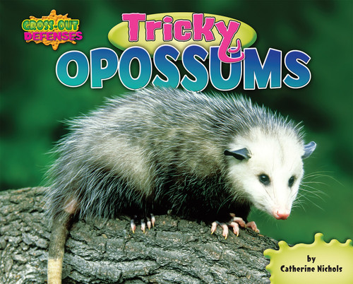 Tricky Opossums by Catherine Nichols, 9781597167185