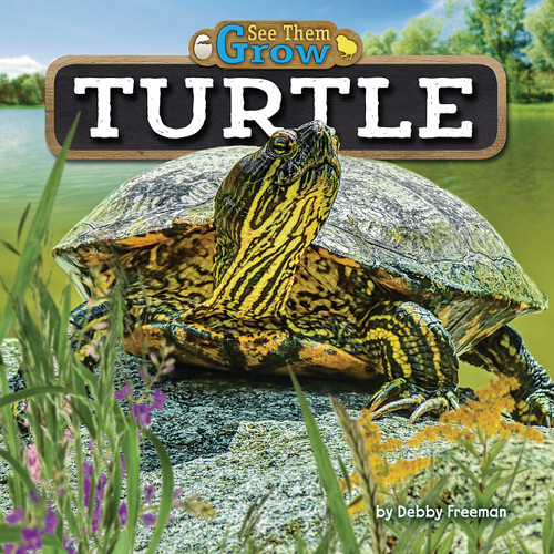 Turtle by Debby Freeman, 9781684020416