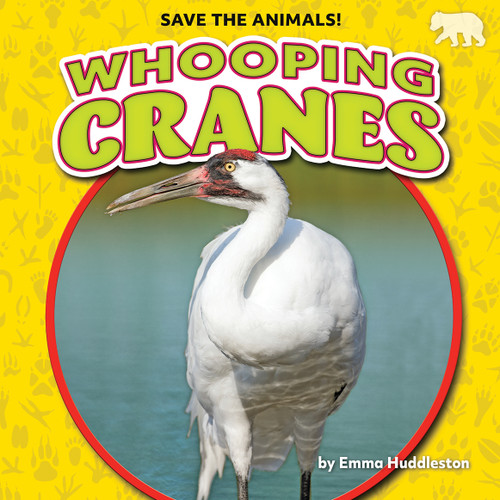 Whooping Cranes by Emma Huddleston, 9781636918037