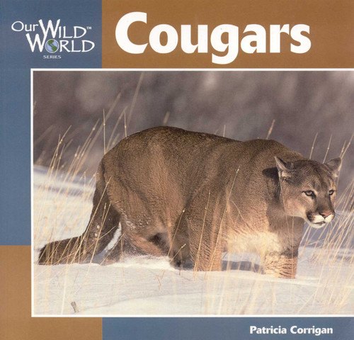 Cougars - 9781559717885 by Patricia Corrigan, 9781559717885