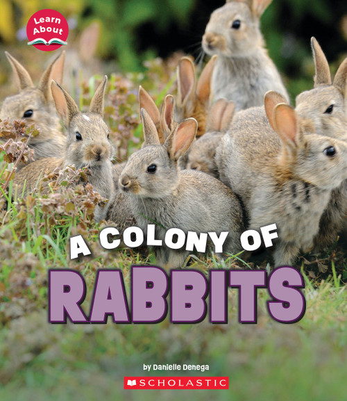 A Colony of Rabbits (Learn About: Animals) by Danielle Denega, 9781338853377
