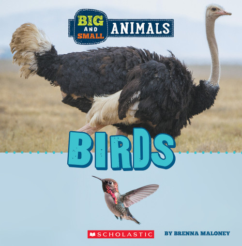 Birds (Wild World: Big and Small Animals) - 9781338853513 by Brenna Maloney, 9781338853513