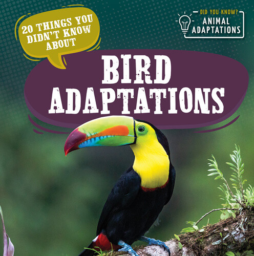 20 Things You Didn't Know About Bird Adaptations - 9781538386736 by Sloane Hughes, 9781538386736