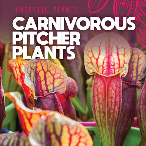 Carnivorous Pitcher Plants by Mary Griffin, 9781538386514