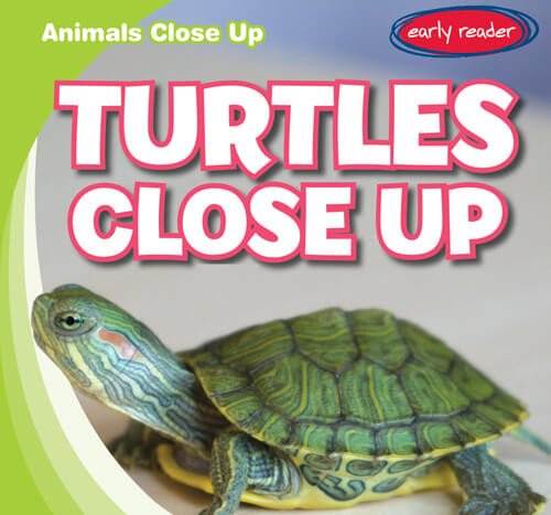 Turtles Close Up - 9781538281352 by Seth Lynch, 9781538281352