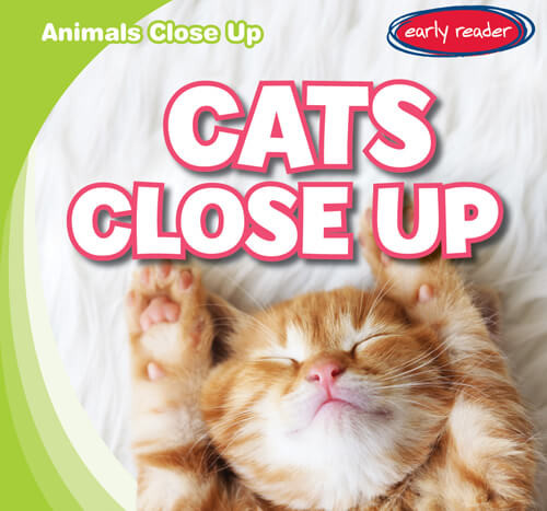 Cats Close Up - 9781538281192 by Seth Lynch, 9781538281192