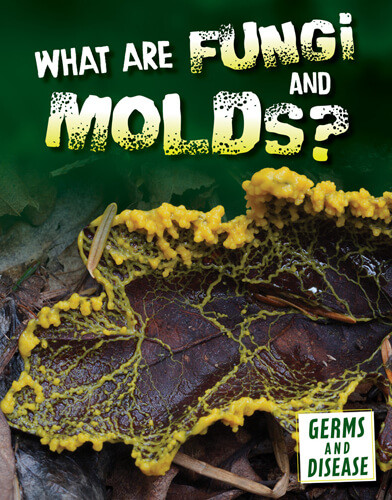 What Are Fungi and Molds? - 9781502665423 by Kathryn Kroe, 9781502665423