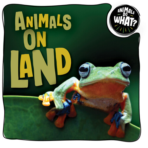 Animals on Land by Brenda McHale, 9781978531406
