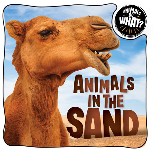 Animals in the Sand by Brenda McHale, 9781978531369