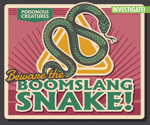 Beware the Boomslang Snake! by Ursula Pang, 9781978527362