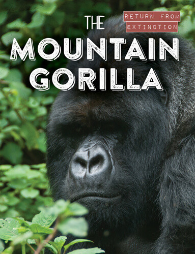 The Mountain Gorilla - 9781538280393 by Leonard Clasky, 9781538280393