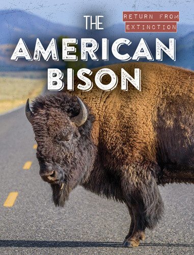The American Bison by Leonard Clasky, 9781538280218