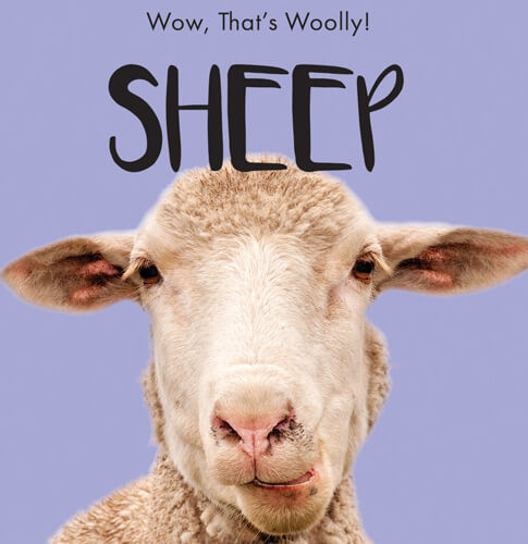 Sheep - 9781538279533 by Beth Gottlieb, 9781538279533