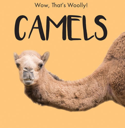 Camels - 9781538279410 by Beth Gottlieb, 9781538279410