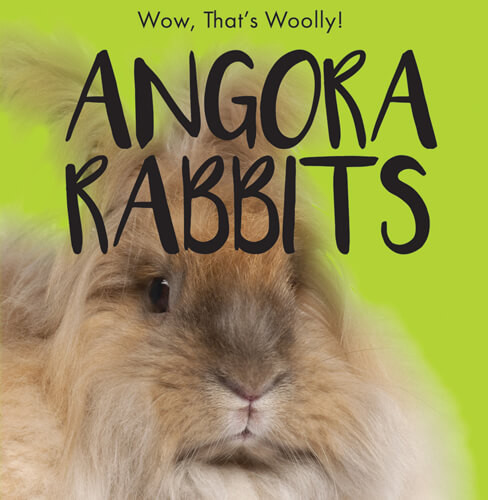 Angora Rabbits - 9781538279373 by Beth Gottlieb, 9781538279373