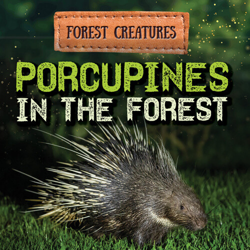 Porcupines in the Forest by Sophie Washburne, 9781538279212