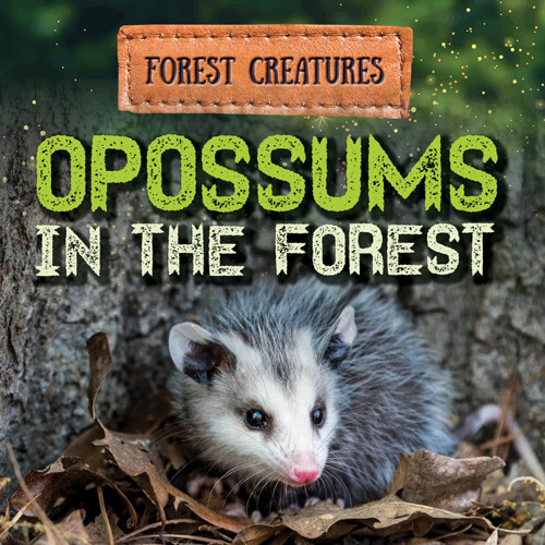 Opossums in the Forest - 9781538279151 by Sophie Washburne, 9781538279151