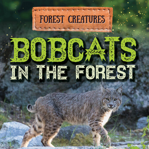 Bobcats in the Forest by Donna Reynolds, 9781538279090