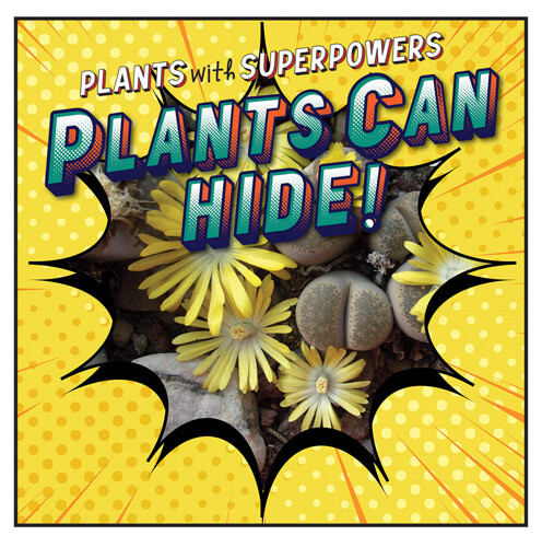 Plants Can Hide! by Monika Davies, 9781538278932