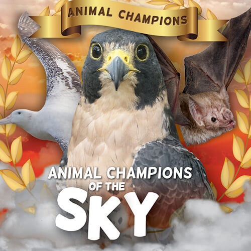 Animal Champions of the Sky - 9781534541573 by Madeline Taylor, 9781534541573