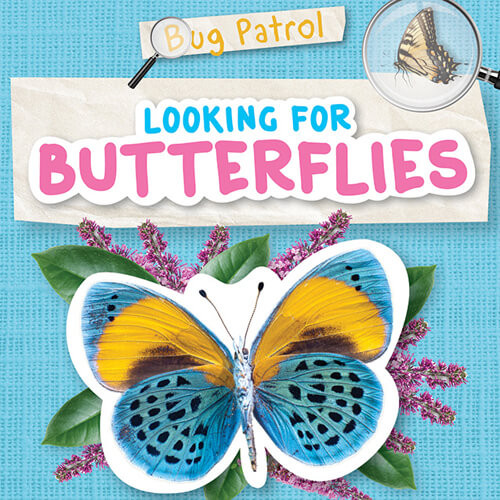 Looking for Butterflies by Emilie Dufresne, 9781534541238
