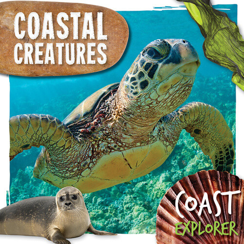 Coastal Creatures by Robin Twiddy, 9781534539334