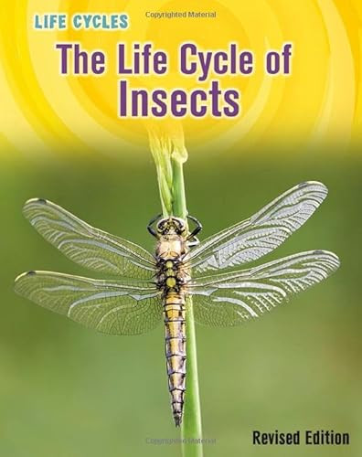 The Life Cycle of Insects by Susan H. Gray, 9781484683187