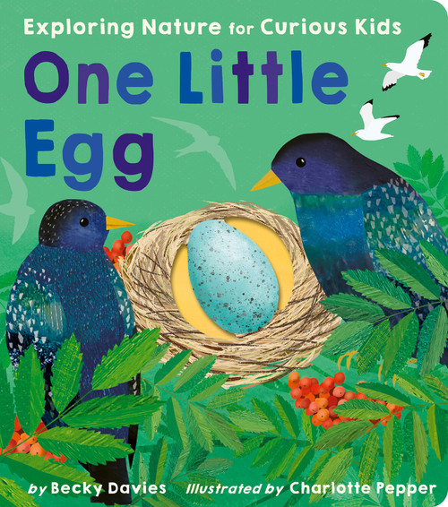 One Little Egg (Exploring Nature for Curious Kids) by Becky Davies, Charlotte Pepper, 9781664350557