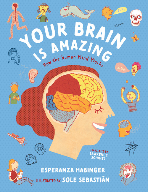 Your Brain Is Amazing (How the Human Mind Works) by Esperanza Habinger, Sole Sebastián, Lawrence Schimel, 9781459832176