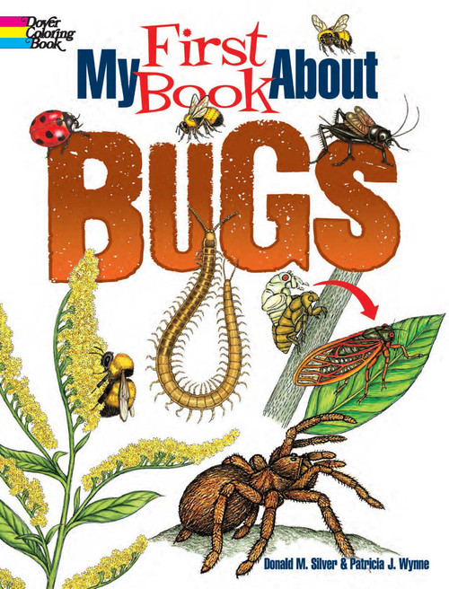 My First Book About Bugs by Patricia J. Wynne, Donald M. Silver, 9780486850283
