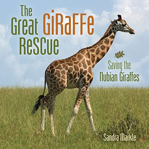The Great Giraffe Rescue (Saving the Nubian Giraffes) by Sandra Markle, 9781728443218